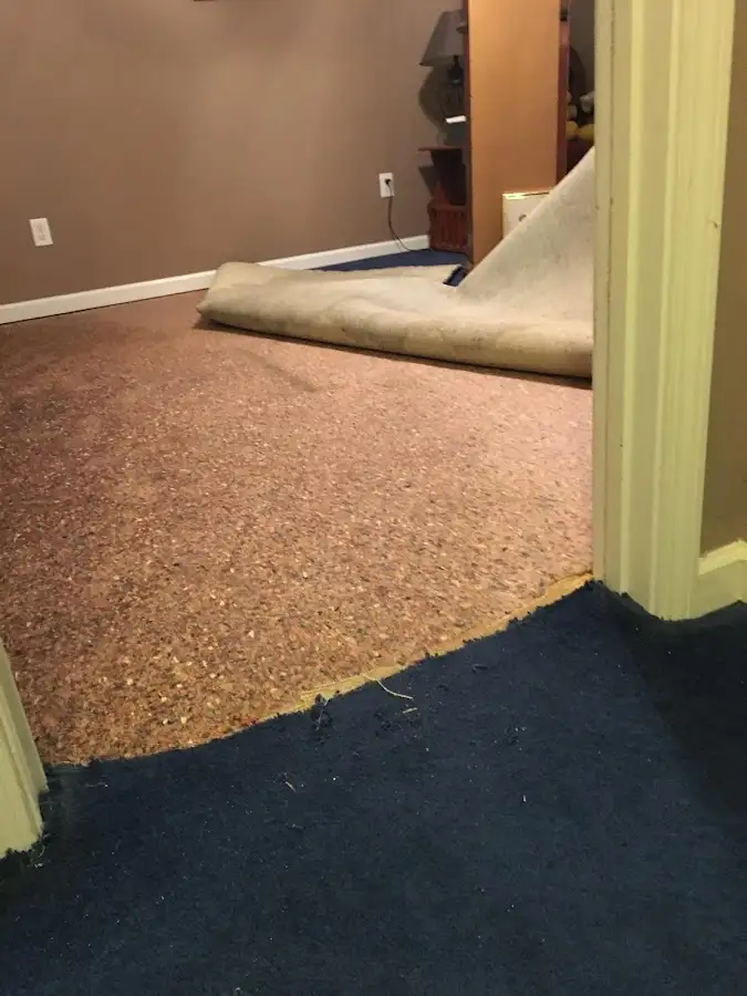 Carpet pad removal revealing water damage during Drying & Dehumidification in Fargo